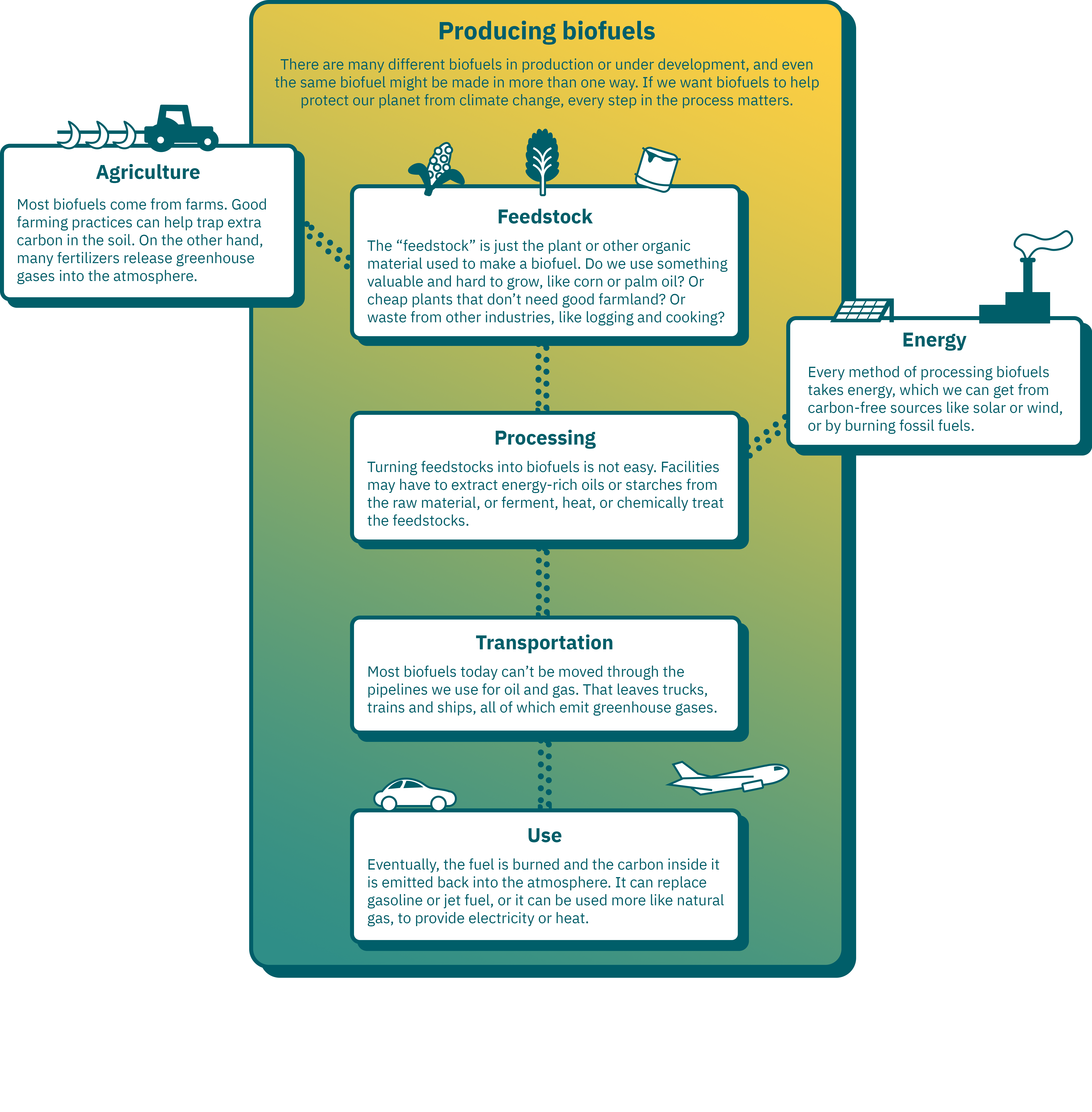 Infographic: Producing biofuels. There are many different biofuels in production or under development, and even the same biofuel might be made in more than one way. If we want biofuels to help protect our planet from climate change, every step in the process matters. 1) Agriculture.Most biofuels come from farms. Good farming practices can help trap extra carbon in the soil. On the other hand, many fertilizers release greenhouse gases into the atmosphere. 2) Feedstock. The “feedstock” is just the plant or other organic material used to make a biofuel. Do we use something valuable and hard to grow, like corn or palm oil? Or cheap plants that don’t need good farmland? Or waste from other industries, like logging and cooking? 3) Processing. Turning feedstocks into biofuels is not easy. Facilities may have to extract energy-rich oils or starches from the raw material, or ferment, heat, or chemically treat the feedstocks. 4) Energy. Every method of processing biofuels takes energy, which we can get from carbon-free sources like solar or wind, or by burning fossil fuels. 5) Transportation. Most biofuels today can’t be moved through the pipelines we use for oil and gas. That leaves trucks, trains and ships, all of which emit greenhouse gases. 6) Use. Eventually, the fuel is burned and the carbon inside it is emitted back into the atmosphere. It can replace gasoline or jet fuel, or it can be used more like natural gas, to provide electricity or heat.