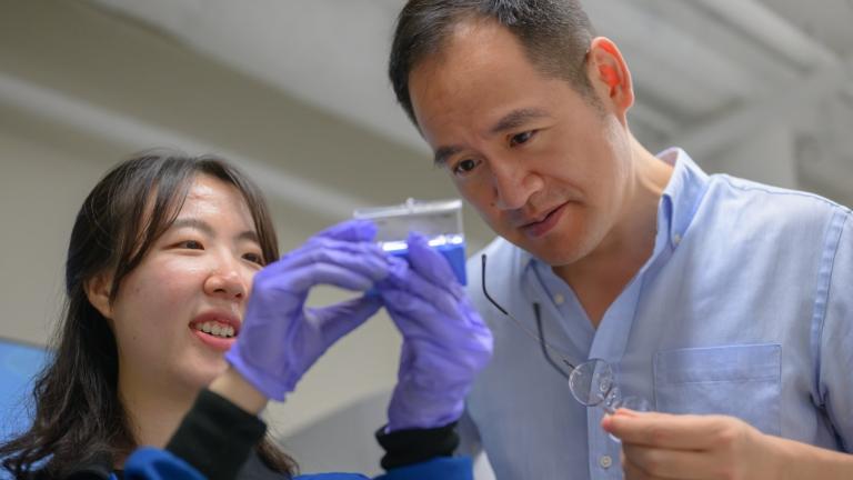 Based on theoretical and experimental studies, MIT engineers have shown that adding nanoparticles of certain ceramics to the metal walls of the vessel containing the reacting plasma inside a nuclear fusion reactor can protect the metal from damage, significantly extending its lifetime. Professor Ju Li (right) and postdoc So Yeon Kim (left) examine samples of the composite they have fabricated for their demonstrations.