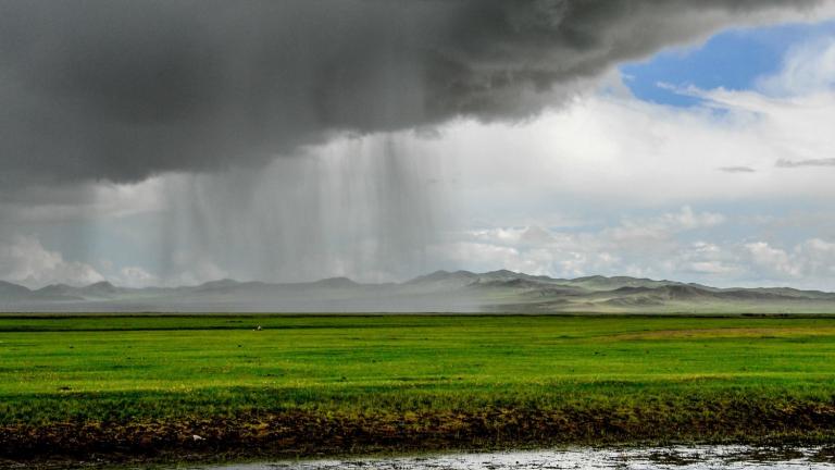 In the grassland steppes of Inner Asia, climate has a major impact on plant growth. Pastoral economies, which depend on grazing livestock like horse and sheep, are affected in turn.