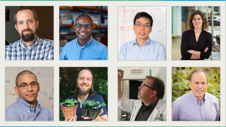 The 2023 J-WAFS Grand Challenge research team: (top row, left to right) Matt Shoulders, Bryan Bryson, Bin Zhang, and Mary Gehring; (bottom row, left to right) Ahmed Badran, Robert Wilson, Spencer Whitney, and Stephen Long