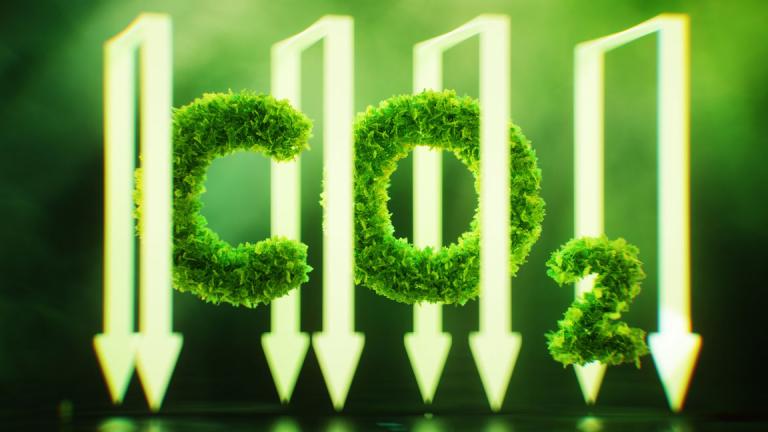 A new American Physical Society report led by MIT physics professor Washington Taylor explores the physical limitations of carbon dioxide removal and concludes these technologies are worth pursuing in tandem with global efforts to reduce carbon emissions.