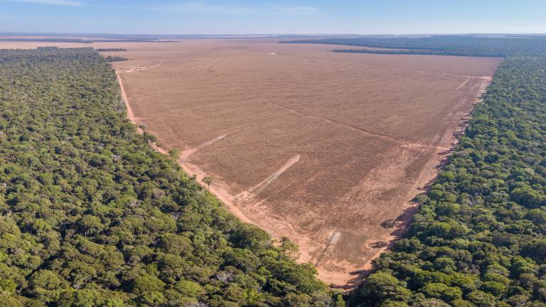 Economists Ben Olken of MIT and Claire Balboni are authors of a new review paper examining the “revolution” in the study of deforestation brought about by satellites, and analyzing which kinds of policies might limit climate-altering deforestation. Pictured is deforestation occurring in Mato Grosso, Brazil.