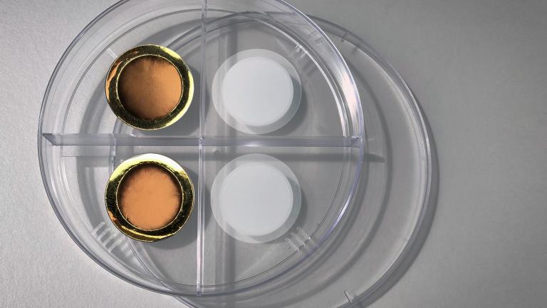 On the right is a porous anodized aluminum oxide membrane. The left side shows the same membrane after coating it with a thin layer of gold, making the membrane conductive for electrochemical gas gating.