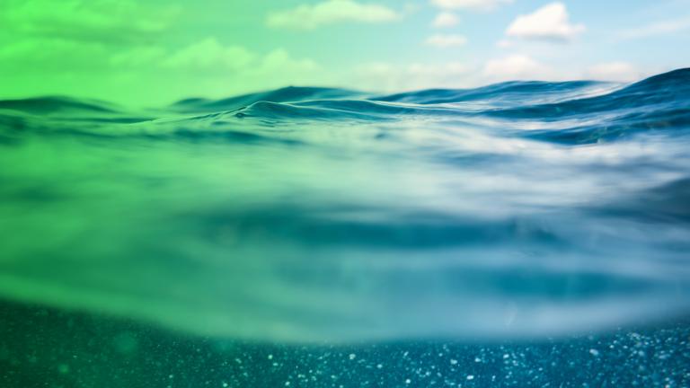 The ocean, a longtime reservoir for CFC-11, will become a source of the ozone-depleting chemical by middle of next century, a new MIT study finds. 