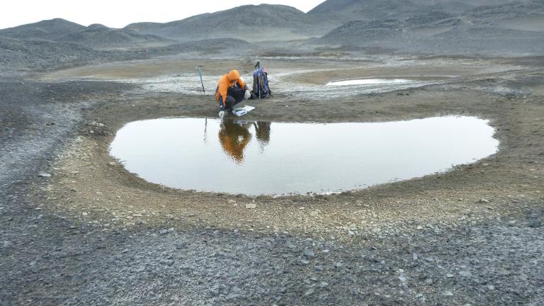 Marc Shallenberg samples from a pond.