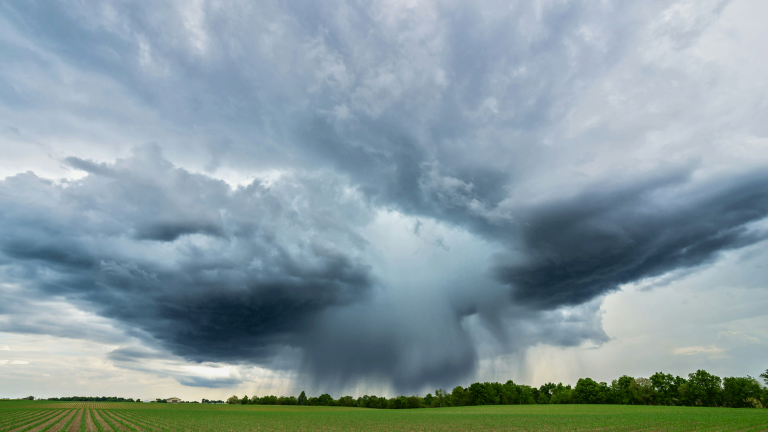 Storm clouds hover over a green field. 