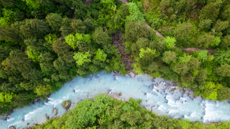 Reforestation and afforestation are “natural climate solutions” that can help cut carbon, restore ecosystems, create jobs, and provide other environmental and social benefits. A new study explores how to make forestry-based NCS projects more effective.