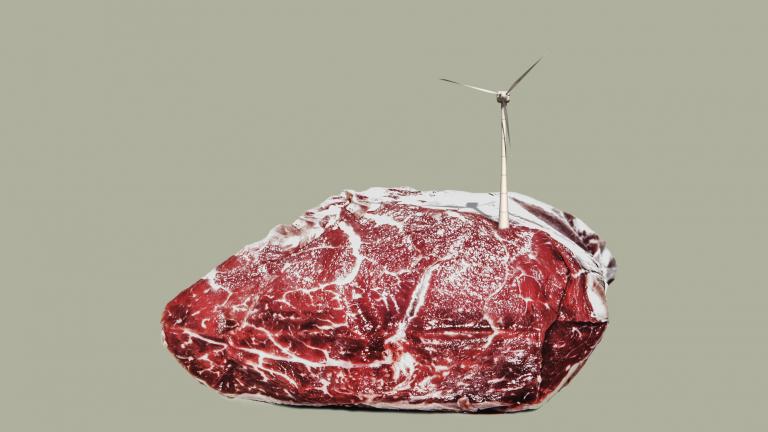 Image of steak with wind turbine spinning on top