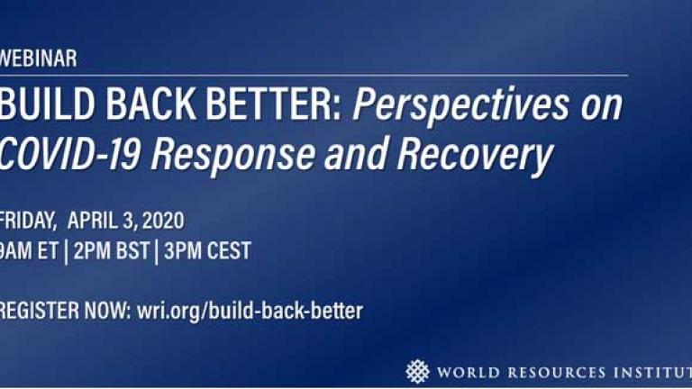 Build Back Better: COVID-19 Response and Recovery