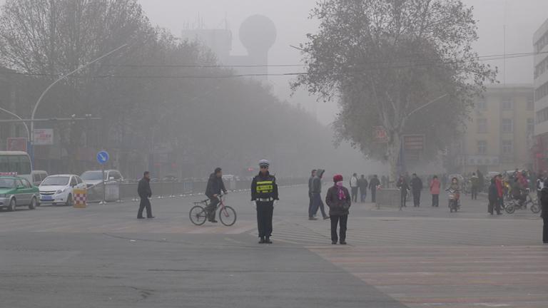 A new tool developed by MIT researchers can be used to estimate the likely air-quality and health outcomes of a wide range of climate and air-quality policies at the regional, sectoral, and fuel-based level. 