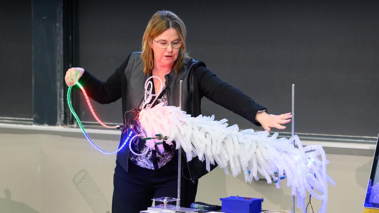 Professor Angela Belcher pulls a single strand of DNA out of a light-up model of M13 bacteriophage, a virus that only infects bacteria. Belcher’s lab modifies the M13’s genes to add new DNA and peptide sequences to template inorganic materials. 