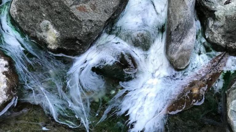 Bacterial biofilm in water between rocks