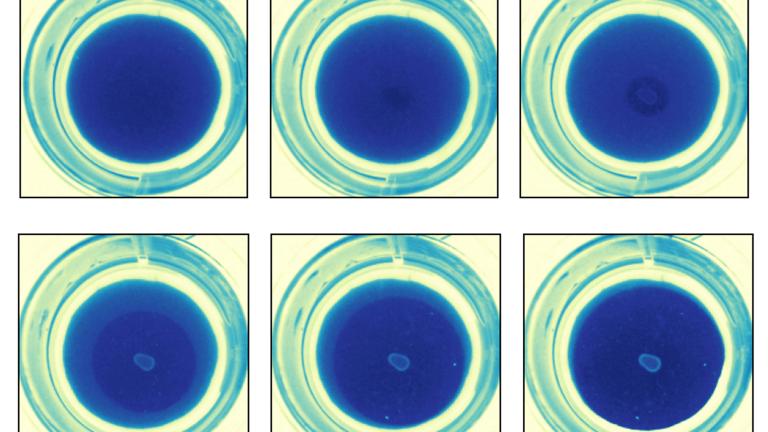 These images show a fast-propagating clear-zone; each image is taken eight hours apart.