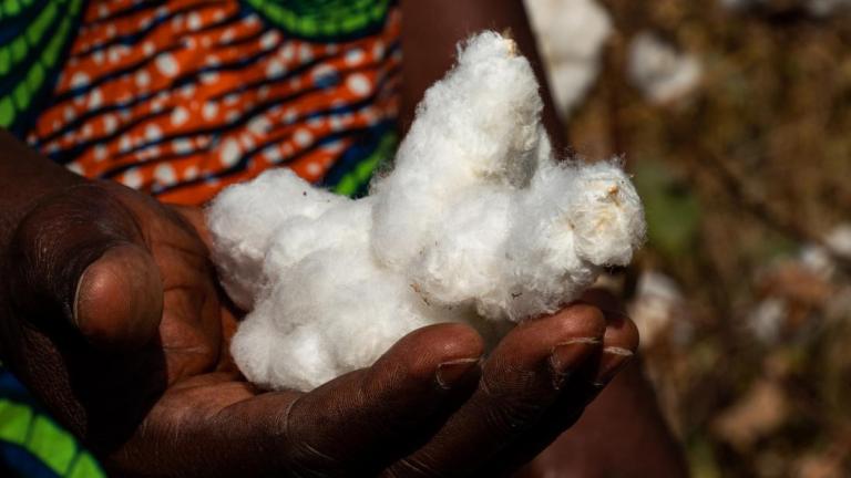 Woman holding cotton in hand