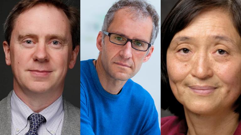 2024 National Academy of Engineer electees from MIT are (left to right) Marc Baldo, Jacopo Buongiorno, and Hsiao-hua K. Burke.