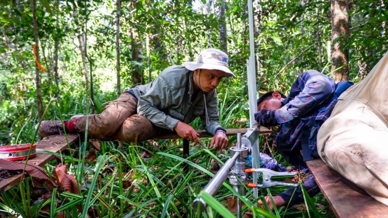 Researchers conduct carbon monitoring in a peat swamp forest in Central Kalimantan, Indonesia in 2017.