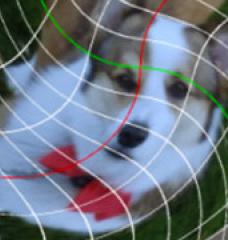 A distorted image of a corgi with distorted graph lines superimposed.