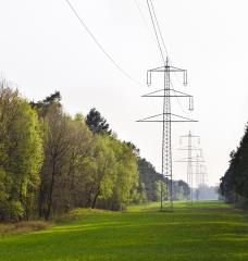 Electric transmission towers in a cleared path