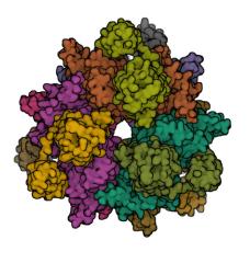 Diagram of a human engineered carbon-dioxide-fixing enzyme, glycolyl-CoA carboxylase, or GCC. 