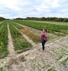 Farmer stands on edge of farm