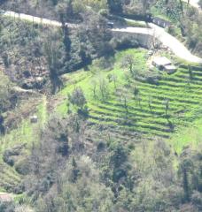 Abandoned croplands represent an opportunity for carbon sequestration, but more research is needed to identify the most promising areas. 