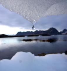 The MIT Joint Program on the Science and Policy of Global Change engaged dozens of decision-makers in the financial sector and industry in a two-hour Zoom discussion on climate-related financial risk.