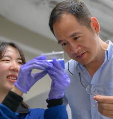 Based on theoretical and experimental studies, MIT engineers have shown that adding nanoparticles of certain ceramics to the metal walls of the vessel containing the reacting plasma inside a nuclear fusion reactor can protect the metal from damage, significantly extending its lifetime. Professor Ju Li (right) and postdoc So Yeon Kim (left) examine samples of the composite they have fabricated for their demonstrations.