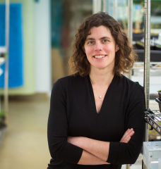 Mary Gehring, associate professor of biology and a member of the Whitehead Institute for Biomedical Research