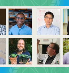 The 2023 J-WAFS Grand Challenge research team: (top row, left to right) Matt Shoulders, Bryan Bryson, Bin Zhang, and Mary Gehring; (bottom row, left to right) Ahmed Badran, Robert Wilson, Spencer Whitney, and Stephen Long