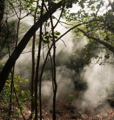 Rincon de la Vieja, an active volcano in Costa Rica, experiences elevated levels of carbon dioxide due to its volcanic activity, where CO2 naturally seeps from cracks in the volcano's foundation, creating a unique environment for studying the effects of how plants might respond to rising global CO2 levels. 