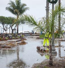 A new prediction method fueled by an MIT-derived algorithm helps forecast frequency of extreme weather.