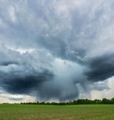 Storm clouds hover over a green field. 