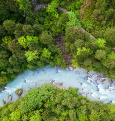 Reforestation and afforestation are “natural climate solutions” that can help cut carbon, restore ecosystems, create jobs, and provide other environmental and social benefits. A new study explores how to make forestry-based NCS projects more effective.