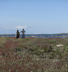 surveying Venice's central lagoon