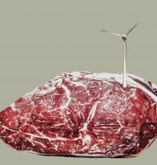 Image of steak with wind turbine spinning on top