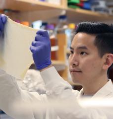 Biological Engineering graduate student Zijay Tang demonstrates the durability of Syn-SCOBY, a kombucha-inspired living membrane. 