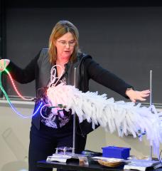 Professor Angela Belcher pulls a single strand of DNA out of a light-up model of M13 bacteriophage, a virus that only infects bacteria. Belcher’s lab modifies the M13’s genes to add new DNA and peptide sequences to template inorganic materials. 