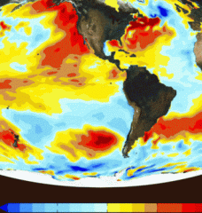 Cloud variability map of Earth