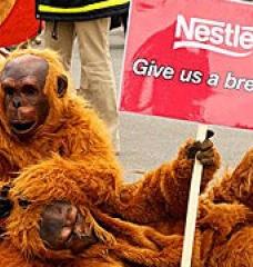 Two people in orangutan costumes on a sidewalk, one holding a sign reading "Nestle - Give us a break!"