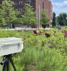 A heat sensor captures data in the Kendall/MIT Open Space. 