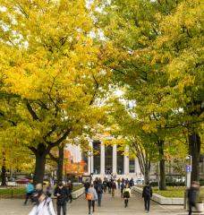 MIT now offers over 120 undergraduate classes related to climate change and sustainability, according to the MIT Environmental Solutions Initiative — a sign of growing student and faculty interest in the environmental impacts of their fields.